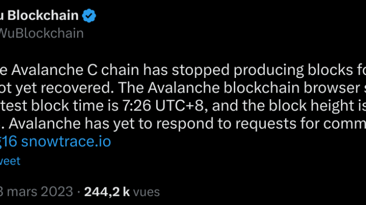 Avalanche en panne : retour à la normale pour la blockchain