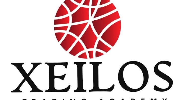 Xeilos : boostez votre trading avec des formations reconnues