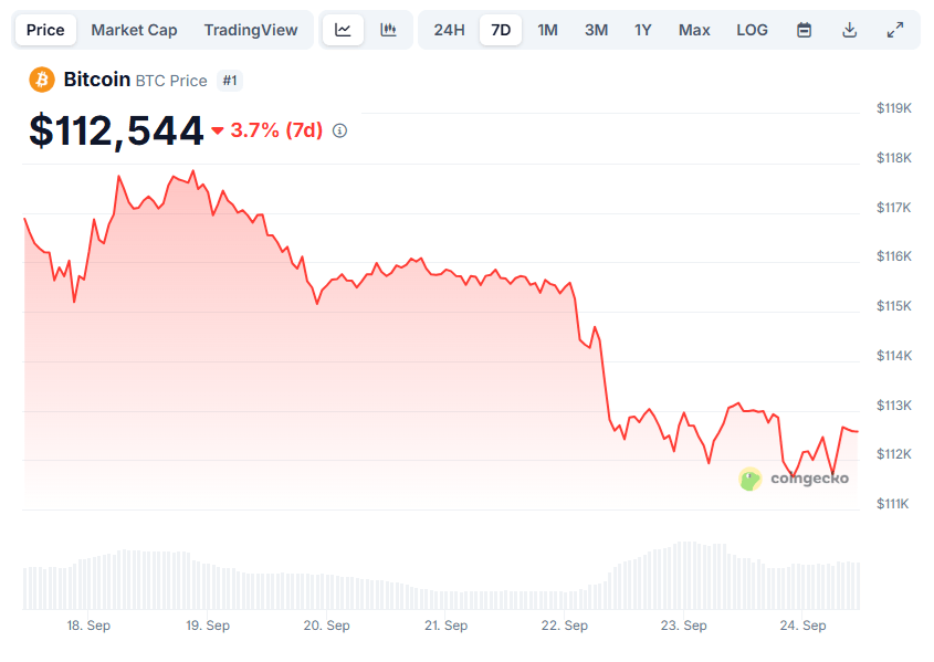Bitcoin et le marché crypto toujours moroses, mais le BNB résiste !
