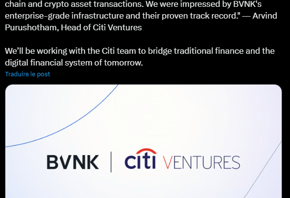 Cryptomonnaie : Citi et Visa misent sur les stablecoins avec BVNK