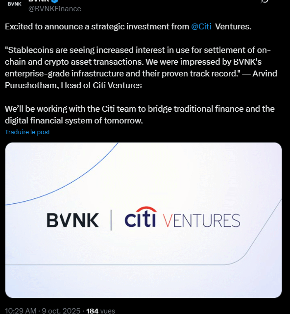 Cryptomonnaie : Citi et Visa misent sur les stablecoins avec BVNK