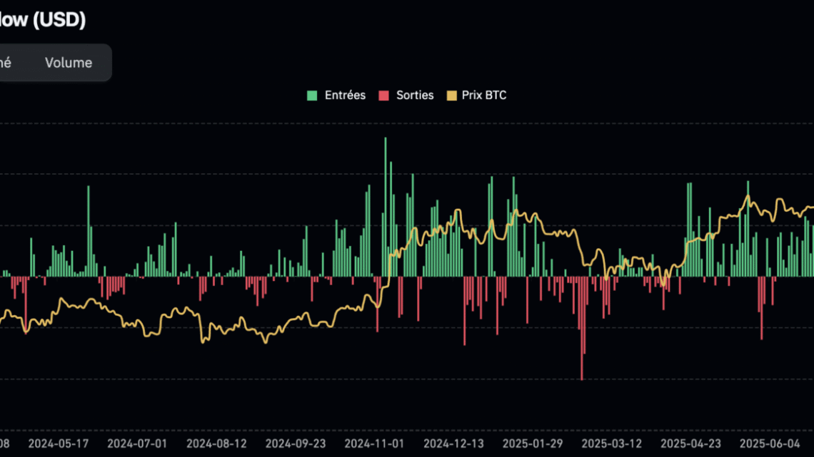 Un BTC inarrêtable malgré les tempêtes – Bitcoin le 1 novembre
