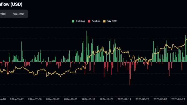 L’année de l’or, mais pas du BTC ! Bitcoin le 15 novembre