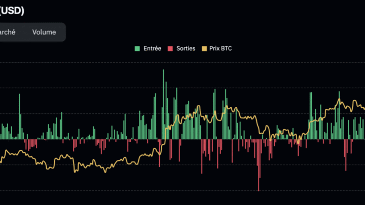 Chute libre sur le BTC, bientôt un retour à 73 000 $ ? Bitcoin le 22 novembre