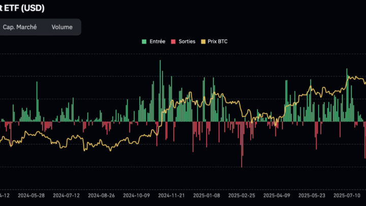 Le BTC déjà dans un bear market selon un indicateur ?  Bitcoin le 13 décembre