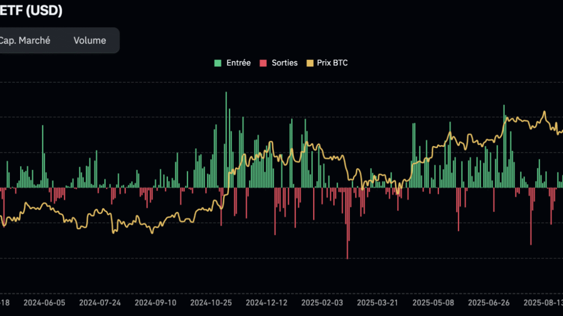 Les 110 000 $ en ligne de mire pour le BTC – Bitcoin le 17 janvier