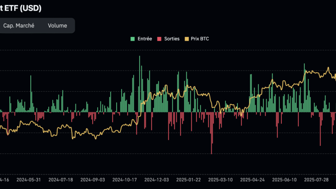 Les traders accumulent à nouveau des BTC ! Bitcoin le 10 janvier