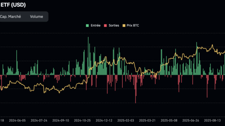 Vers un crash du BTC à 44 000 $ ? Bitcoin le 31 janvier