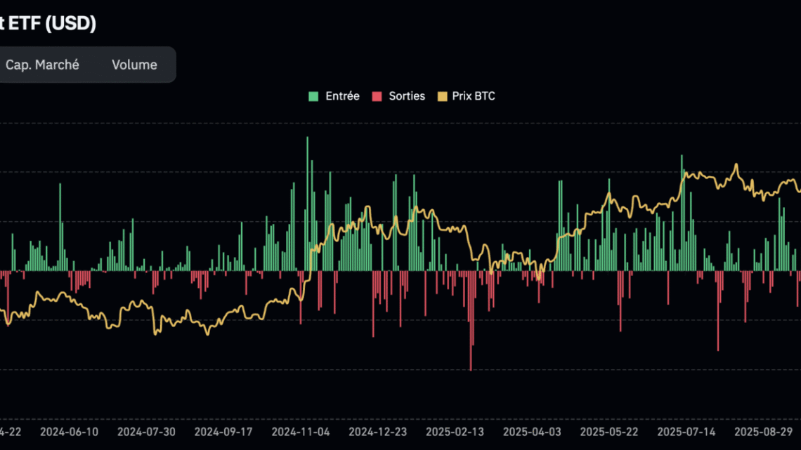 Cet indicateur aux portes d’un signal historique pour BTC – Bitcoin 14 février