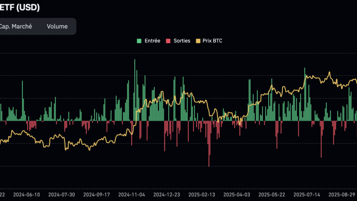 Hausse de l’activité on-chain, le BTC va-t-il enfin se réveiller ?  Bitcoin 21 février