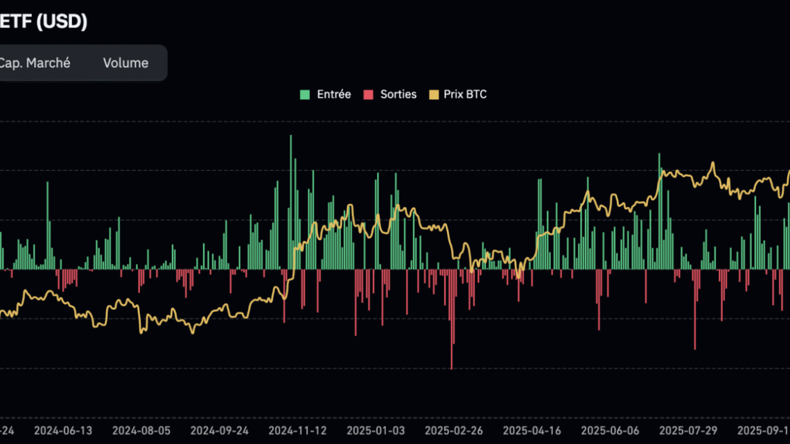 Les entités qui ont plus de 100 BTC repassent à l’offensive ! Bitcoin 28 février