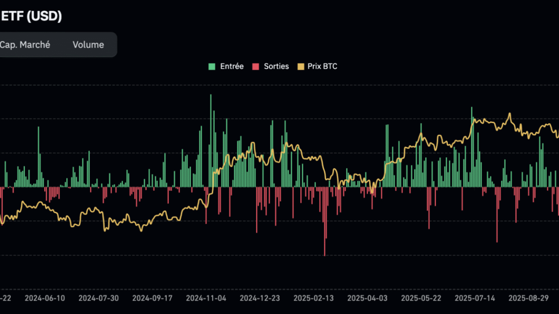 Cet indicateur signale une opportunité générationnelle sur BTC – Bitcoin 7 février