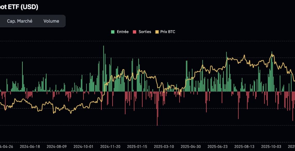 Les institutionnels absorbent 5 fois l’offre quotidienne en BTC ! Bitcoin 21 mars