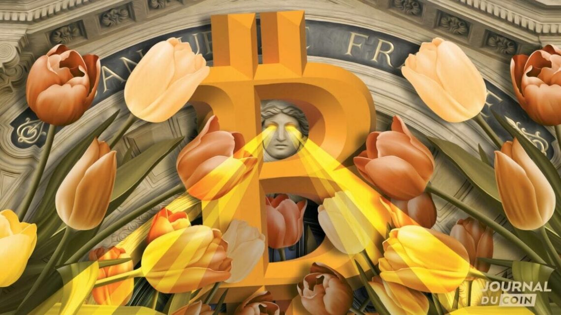 Au-delà de l’urgence : ce que la Banque de France ne dit pas sur la France et l’euro