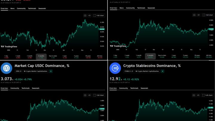 Bitcoin : les traders délaissent le BTC pour les stablecoins du dollar (USDT et USDC en tête)
