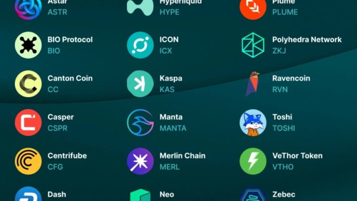 Finst passe la vitesse supérieure : 46 nouvelles cryptos ajoutées en quelques jours