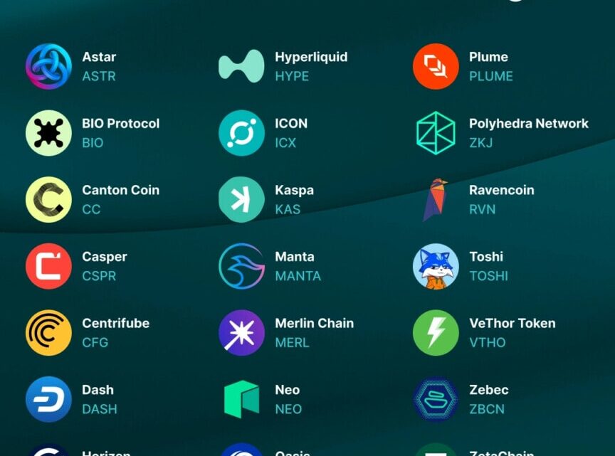 Finst passe la vitesse supérieure : 46 nouvelles cryptos ajoutées en quelques jours