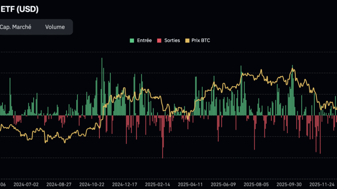 Les whales font le plein pendant la chute du BTC – Bitcoin 13 juin